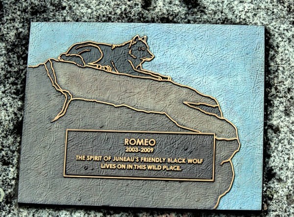 Romeo11
