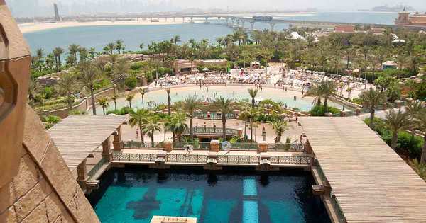 thepalm